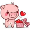Pigma (Classic) 29