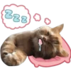 888