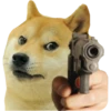 PERRITO 5