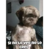 De todo 6
