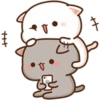 Cat and cat 5
