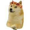 PERRITO 7