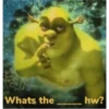shrek is in fact love 6