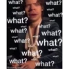 harry 7