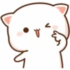 Cat and cat 7
