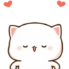 Cat and cat 8