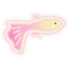 (11
B