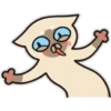 Siamese cat reactions 6