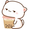 Cat and cat 9