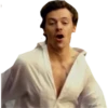 Golden Harry Styles 6