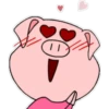 ILY 8