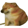 PERRITO 8