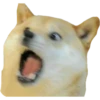 PERRITO 9