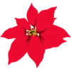 Happy Boricua Christmas 7