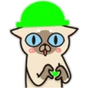 Siamese cat reactions 7