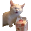 KING
PRAVE
드링킹요구르트 복숭아
Denmark NEW!
Drinking yoghurt
Peach
화