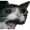 random stickers 7