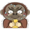 mr monkey 3 5