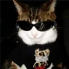 animales facheros (cool animals) 9
