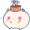 ILY 11