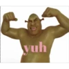 shrek is in fact love 8