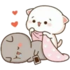 Cat and cat 10