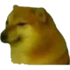 PERRITO 11