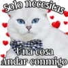 MICHI Pa' Enamorarte bb 5