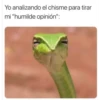 Yo analizando el chisme para tirar
mi "humilde opinión":