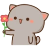 Cat and cat 11