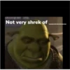 shrek is in fact love 10