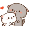 Cat and cat 12
