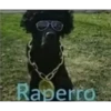 Raperro