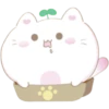 Soft Bunny 9