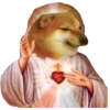 PERRITO 13