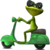 enva
denvato