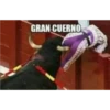 De todo 11
