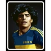 Maradonna 15