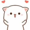 Cat and cat 14