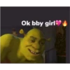 shrek is in fact love 12
