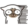 Siamese cat reactions 11