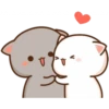 Cat and cat 16