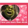 shrek is in fact love 13