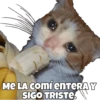 ME LA Comí enTERAY
SIGO TRISTE.