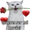 MICHI Pa' Enamorarte bb 7
