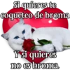 MICHI Pa' Enamorarte bb 8