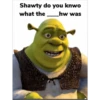 shrek is in fact love 14