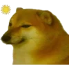 PERRITO 17