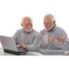 Hide The Pain Harold 21