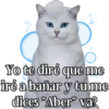 MICHI Pa' Enamorarte bb 10